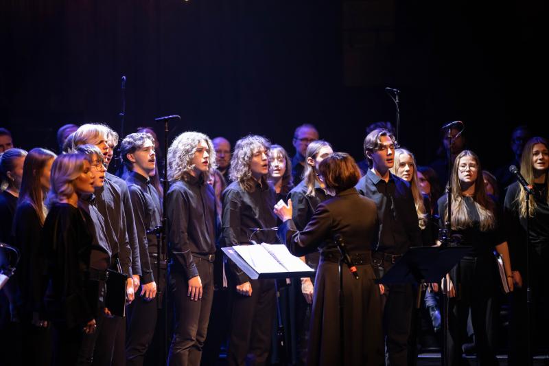 En stjärnklar kväll