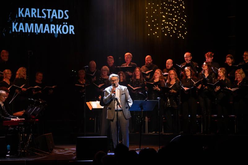 En stjärnklar kväll