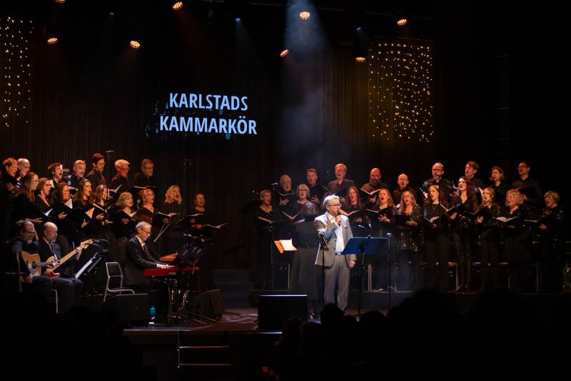 En stjärnklar kväll