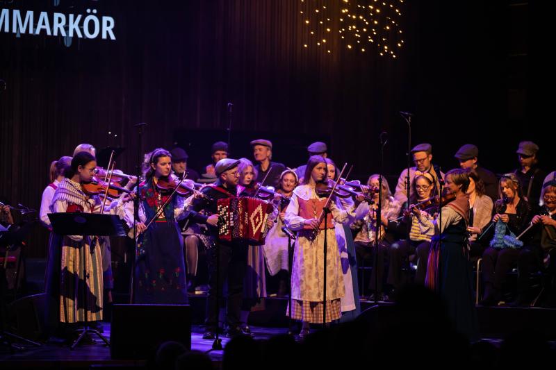 En stjärnklar kväll