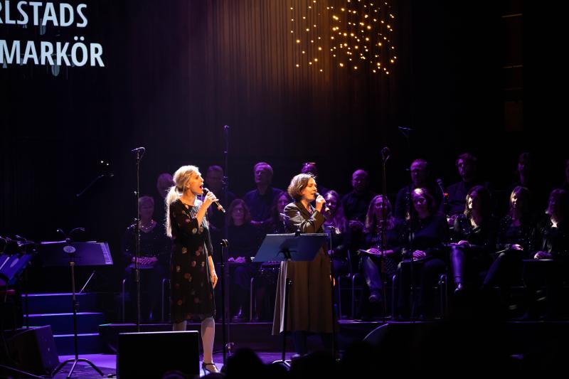 En stjärnklar kväll