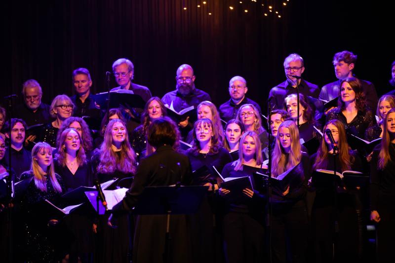 En stjärnklar kväll