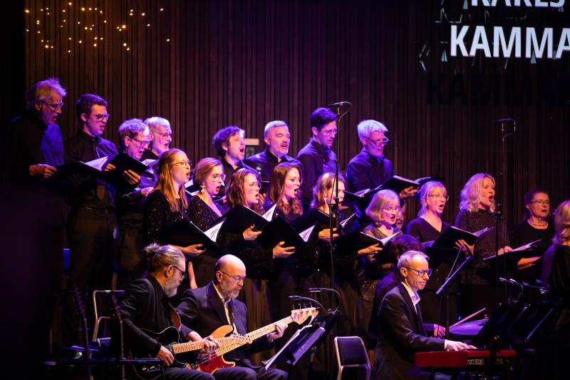 En stjärnklar kväll