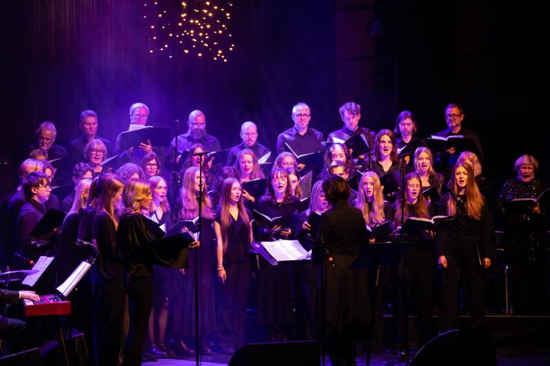 En stjärnklar kväll