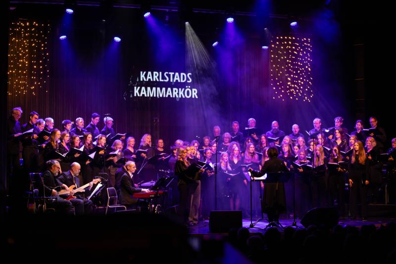 En stjärnklar kväll